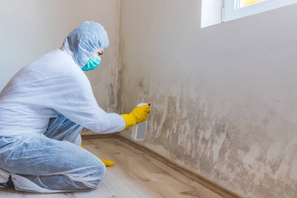 Licensed Mold Remediation service in Richmond, VA - Mold Remediation HQ