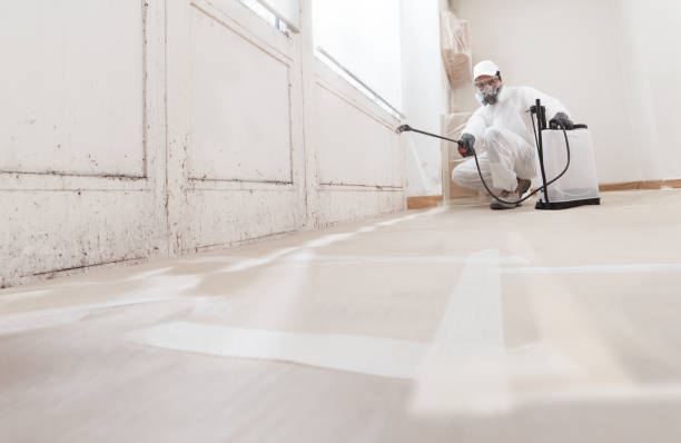 24/7 Emergency Mold Remediation experts in Richmond, VA
