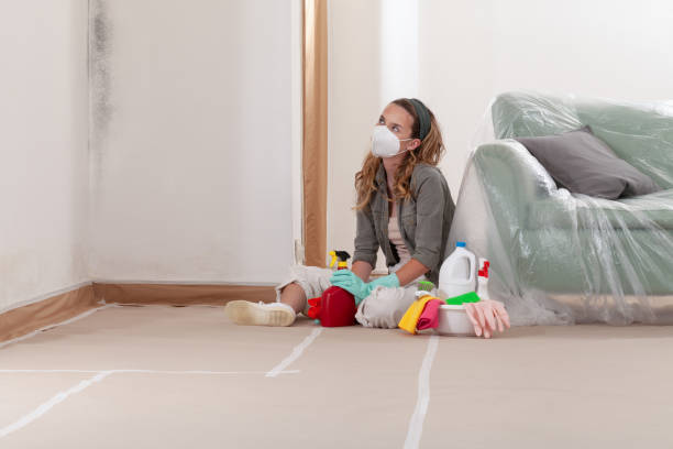 Reliable Mold Remediation contractor in Richmond, VA by Mold Remediation HQ