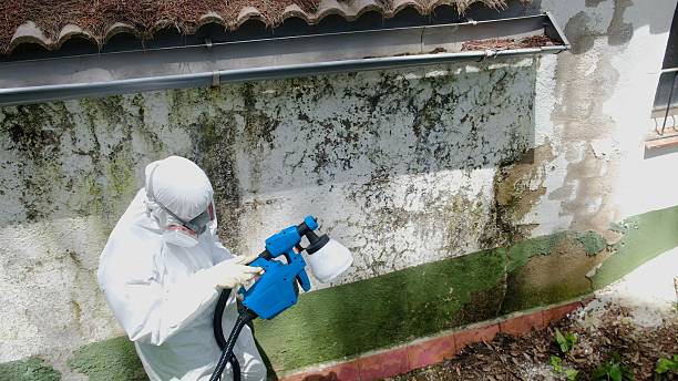 Top rated local Mold Remediation specialists in Richmond, VA